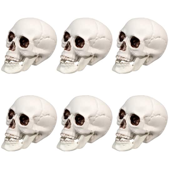 3.5'' Skull Head Halloween Decorations, 6ct.